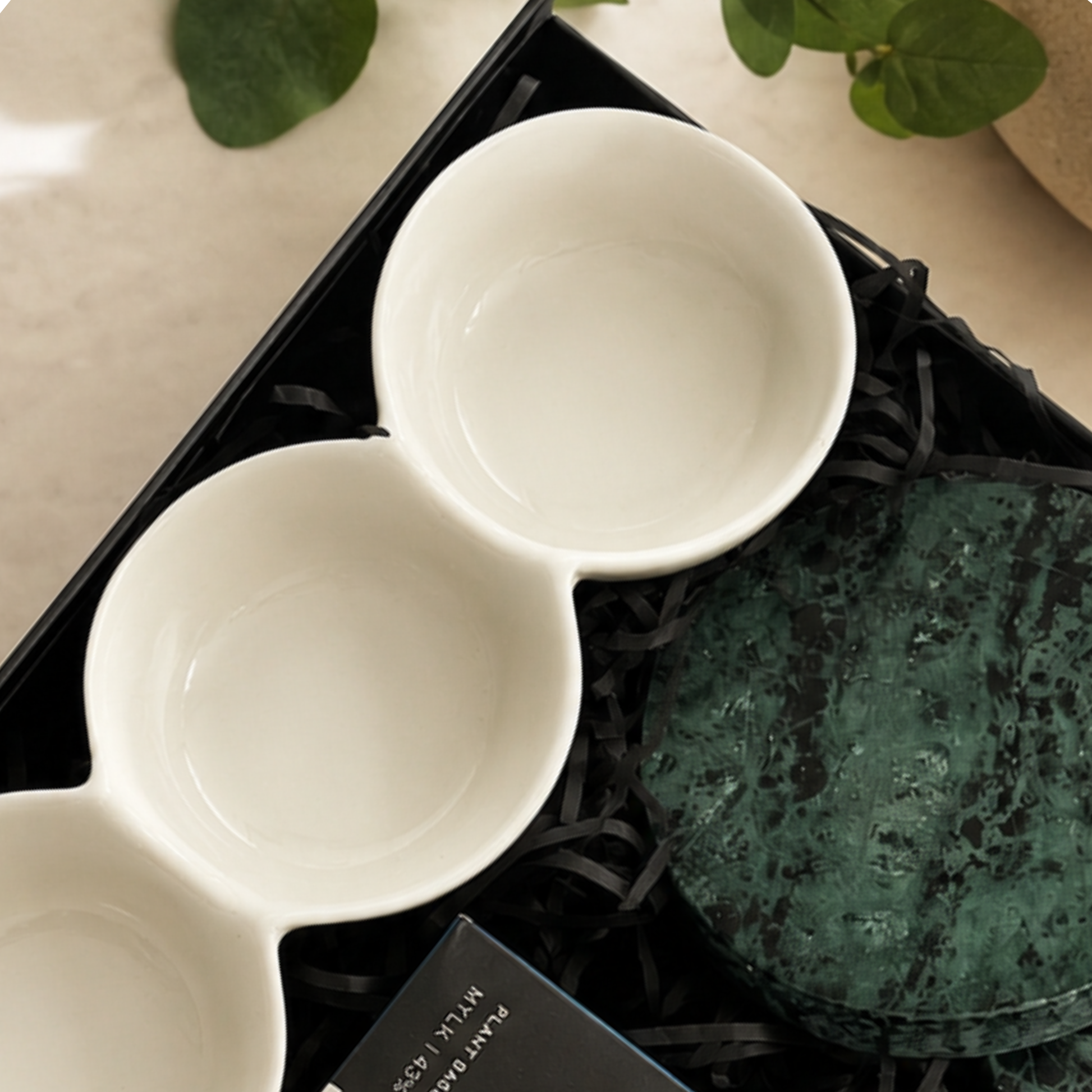 Two white ceramic spoons on a black tray with green leaves in the background