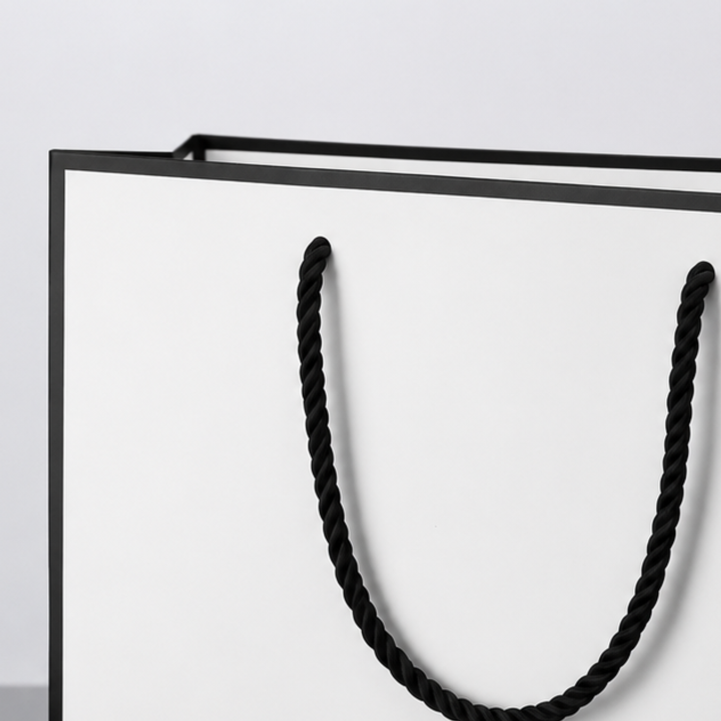 Black rectangular frame with a black rope handle on a light gray background